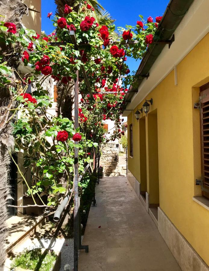 Guest House Torci 18 Novigrad Istria Exteriér fotografie